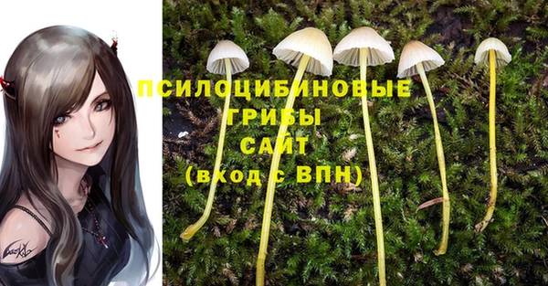 крисы Алзамай