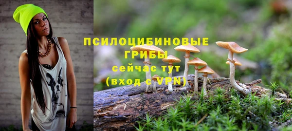 твердый Арсеньев