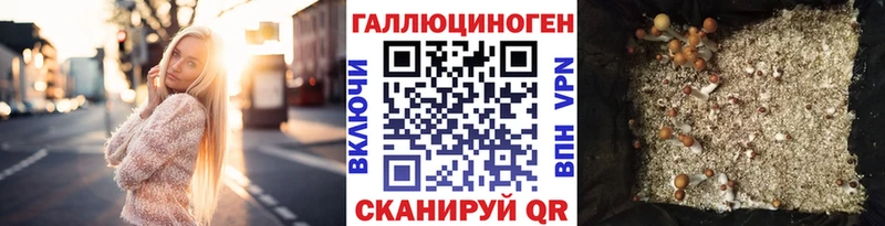 Галлюциногенные грибы Psilocybine cubensis  OMG вход  Майкоп 