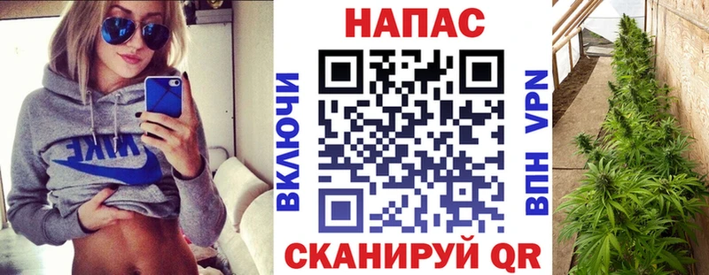 Каннабис SATIVA & INDICA Майкоп